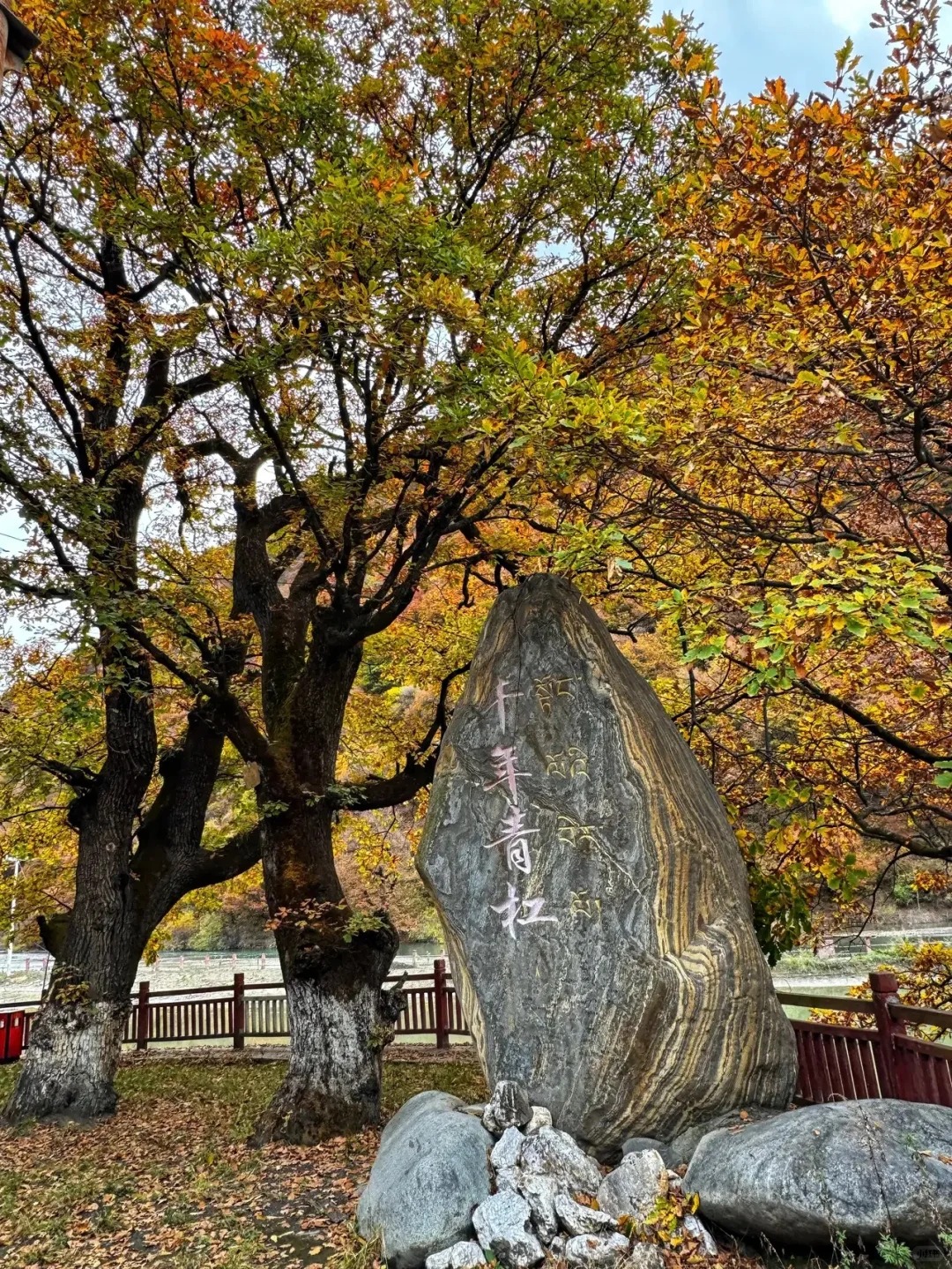 去川西，看彩林_8_annie布兜_川西黑水县-来自52tours 我爱旅游网